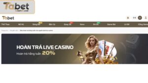 Giới thiệu ưu đãi hoàn live casino 20% tại nhà cái TABET